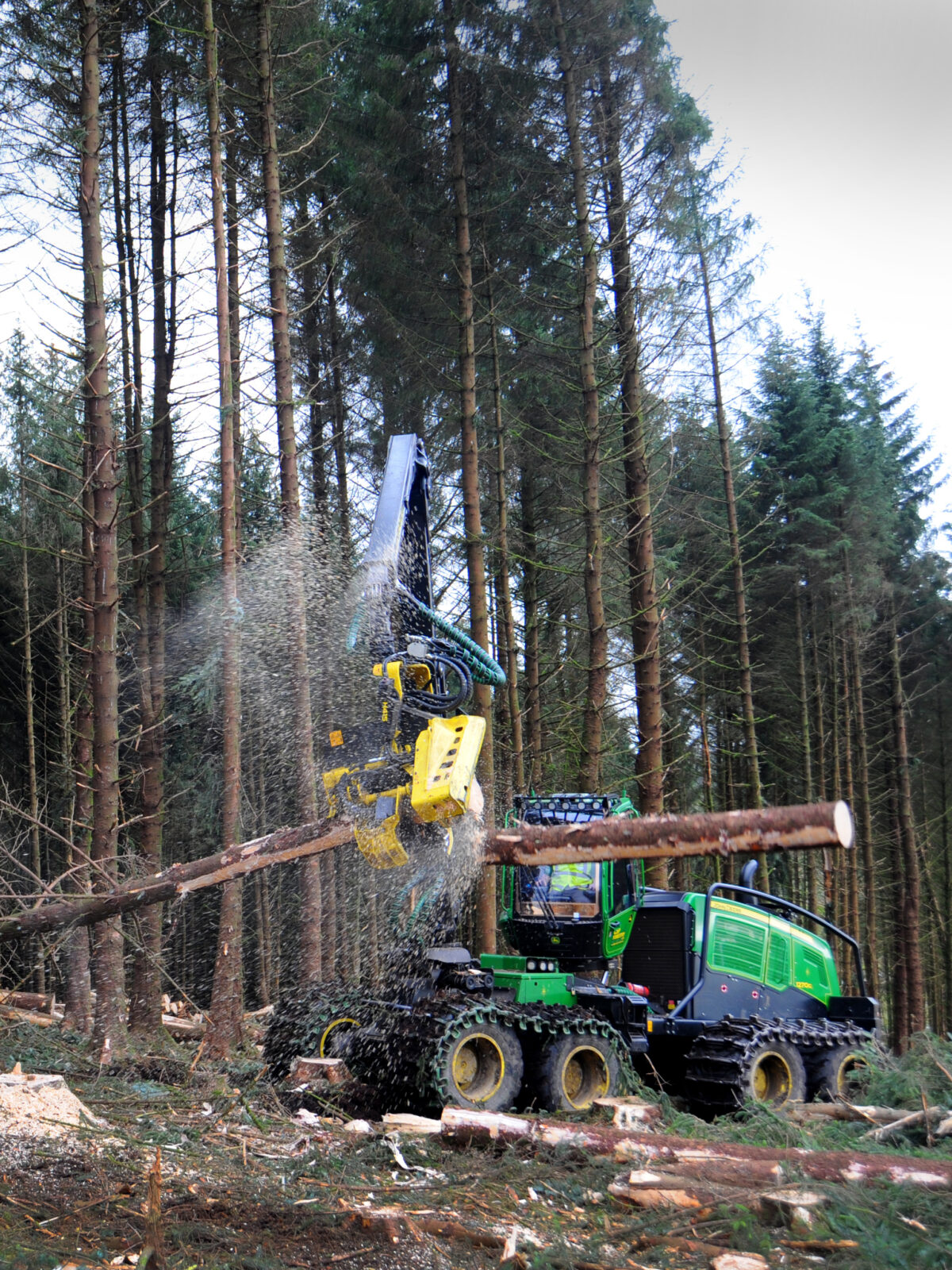 Forestry machinery lifting timber during a live demonstration.